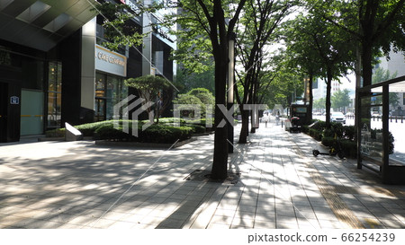 首爾風光 66254239