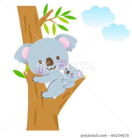 Cute koala parents and children staring at each other on a tree 66254678