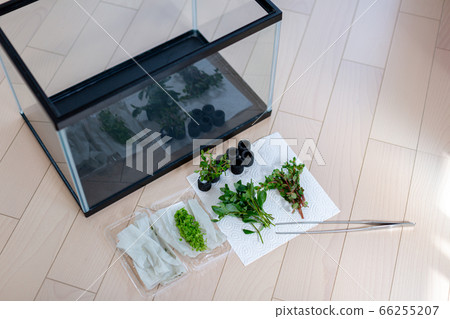 Aquarium aquatic aquarium Aquarium aquatic aquarium 66255207