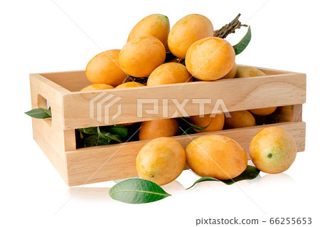Thai Plango, Plum Mango, Mayongchid, Maprang or Sweet Yellow Marian Plum fruit 66255653
