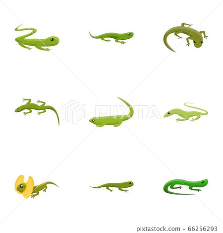 Reptile icon set, cartoon style Reptile icon set, cartoon style 66256293