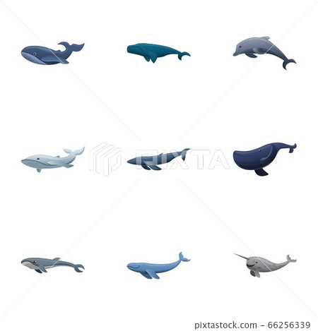 Sea whale icon set, cartoon style Sea whale icon set, cartoon style 66256339