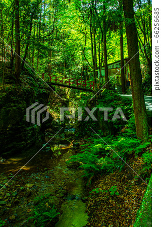 Kurosan Misaki 66256685