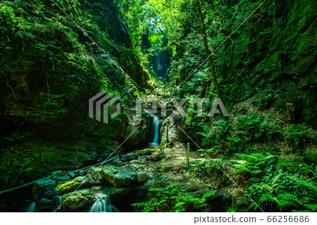 Kurosan Misaki Kurosan Misaki 66256686