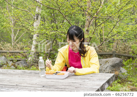 女人在遠足吃便當 女人在遠足吃便當 66256772