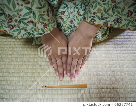 茶道和服素材 茶道和服素材 66257741