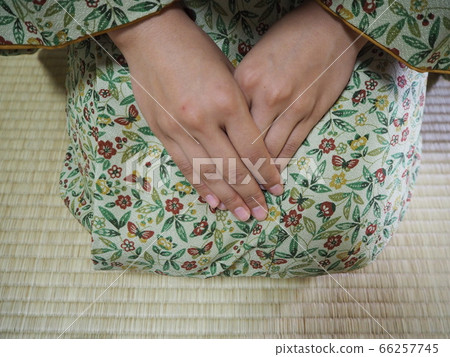 茶道和服素材 66257745