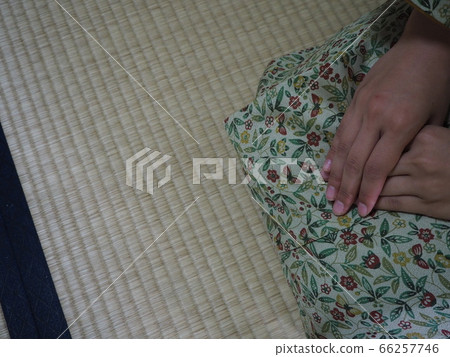 茶道和服素材 66257746