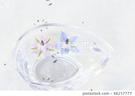 在桌上的玻璃碗琉璃苣花 66257777