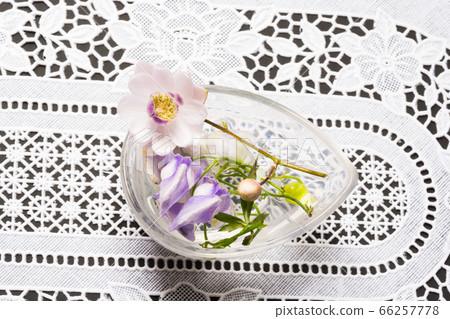 日本黃芪在玻璃容器中 66257778