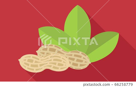 Whole peanut shell icon, flat style Whole peanut shell icon, flat style 66258779