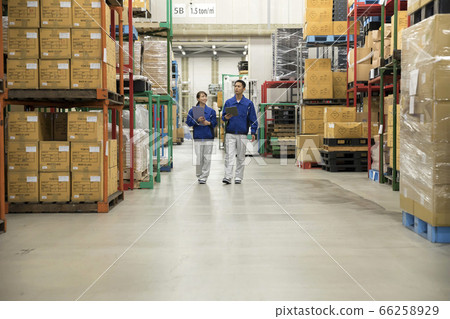 Workers and men who manage products in a distribution warehouse 66258929