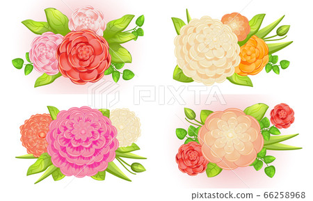 Camellia banner set, cartoon style Camellia banner set, cartoon style 66258968