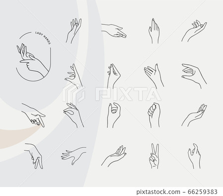 Hands in various gestures drawn on a gray background in a linear style and isolated. A collection of Hands in various gestures drawn on a gray background in a linear style and isolated. A collection of 66259383