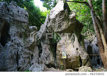 Okinawa Prefecture Okinawa Prefecture 66259692