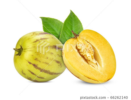 pepino melon isolated on a white background 66262140
