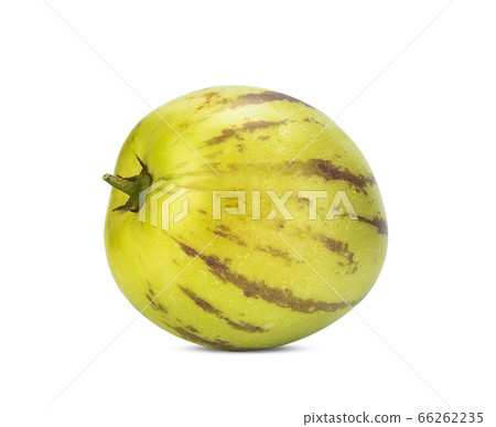 pepino melon isolated on a white background 66262235