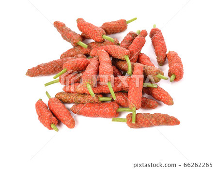 Long Pepper isolated on white  background Long Pepper isolated on white  background 66262265