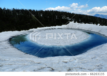 八man平龍眼睜開前 66263135