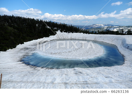 八man平龍眼睜開前 八man平龍眼睜開前 66263136