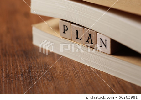 Business plan 66263981