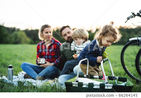 Family with two small children on cycling trip, sitting on grass and resting. Family with two small children on cycling trip, sitting on grass and resting. 66264145