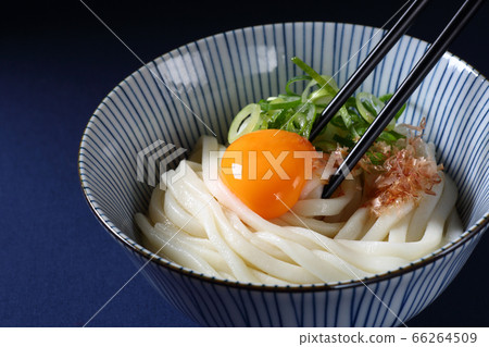 Kamatama udon, dark blue background 66264509