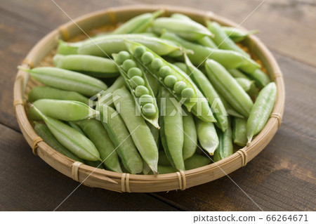 green pea green pea 66264671