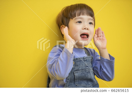 生活方式，男孩，幼兒園 66265615