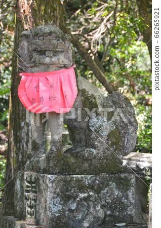 Komainu（Agata雕像）雕像（高知縣高知市長ata神社/長濱市） 66265921