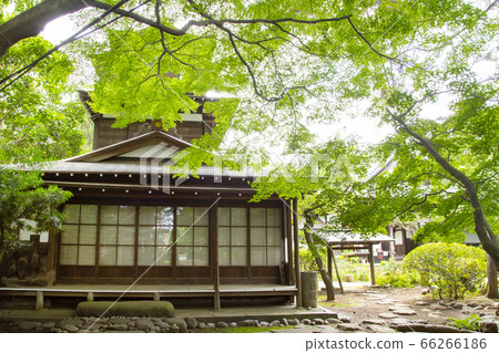 世田谷觀音藍楓景觀 66266186