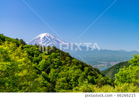(山梨縣)從新鮮的綠色三坂路看到的富士山 (山梨縣)從新鮮的綠色三坂路看到的富士山 66266215