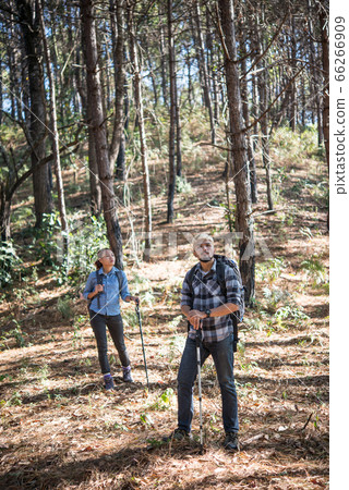 Portrait of Hiking Couple backpacker in the pine Portrait of Hiking Couple backpacker in the pine 66266909