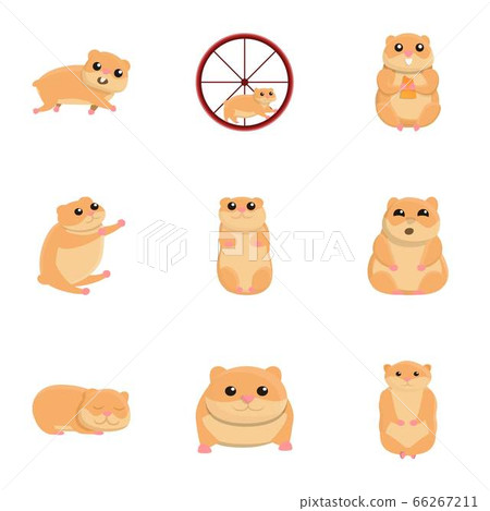 Hamster character icon set, cartoon style Hamster character icon set, cartoon style 66267211