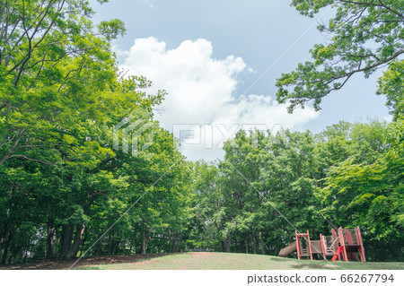 東京都南岡公園八王子的自然環境 照片素材 圖片 圖庫