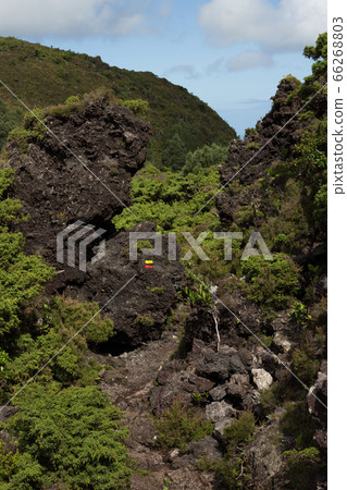 Gruta do natal hiking trail on the island of Terceira in Azores. Gruta do natal hiking trail on the island of Terceira in Azores. 66268803