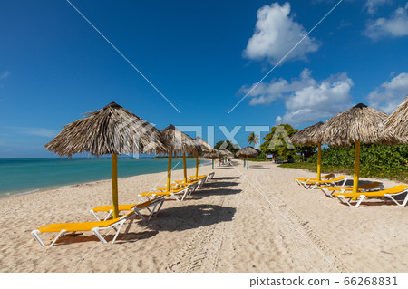 Trinidad, Cuba. Coconut on an exotic beach with 66268831
