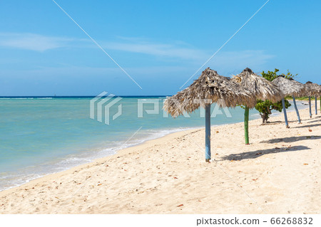 Trinidad, Cuba. Coconut on an exotic beach with 66268832