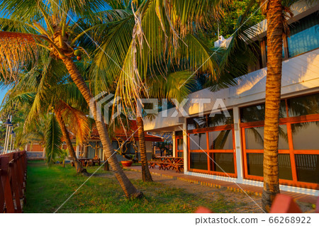 Palm tree tops against apartment or hotel building 66268922