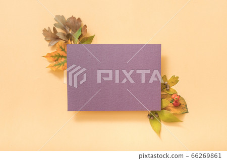 purple greeting card mockup birthday celebration purple greeting card mockup birthday celebration 66269861