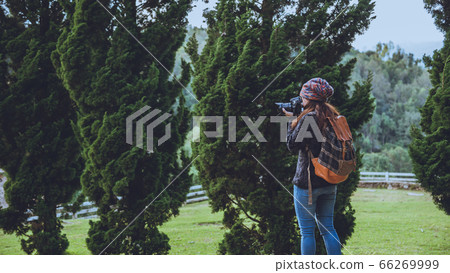 Asian women Travel photograph Nature at sheep farm at Doi Pha Tang, Doi Inthanon National Park Asian women Travel photograph Nature at sheep farm at Doi Pha Tang, Doi Inthanon National Park 66269999