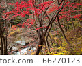 [2019] Shofu Gorge, Kofu City, Yamanashi Prefecture 66270123