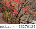[2019] Shofu Gorge, Kofu City, Yamanashi Prefecture 66270125