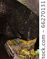 [2019] Shofu Gorge, Kofu City, Yamanashi Prefecture 66270131