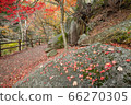 [2019] Shofu Gorge, Kofu City, Yamanashi Prefecture 66270305