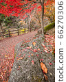 [2019] Shofu Gorge, Kofu City, Yamanashi Prefecture 66270306