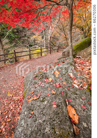 [2019] Shofu Gorge, Kofu City, Yamanashi Prefecture 66270306
