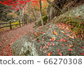 [2019] Shofu Gorge, Kofu City, Yamanashi Prefecture 66270308