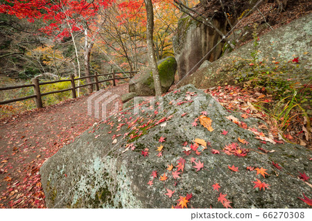 [2019] Shofu Gorge, Kofu City, Yamanashi Prefecture 66270308