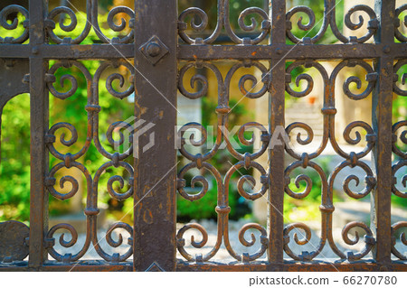 Iron forged fence, green plants Iron forged fence, green plants 66270780